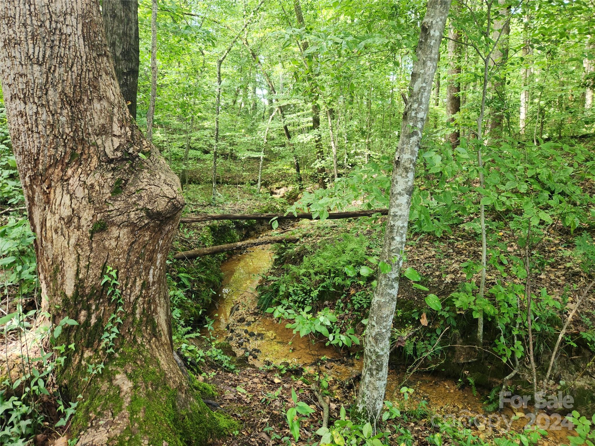Cross Creek - Land