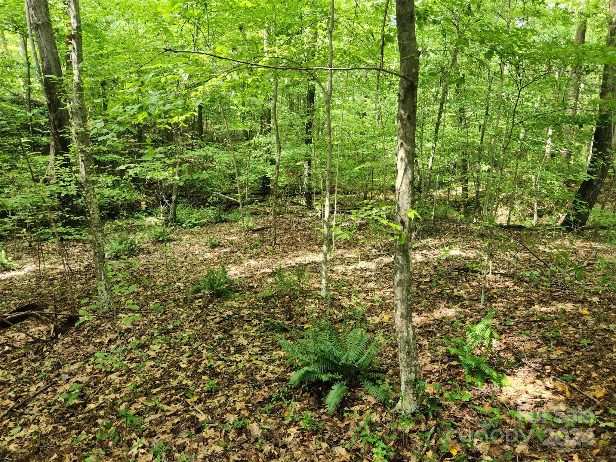 Cross Creek - Land