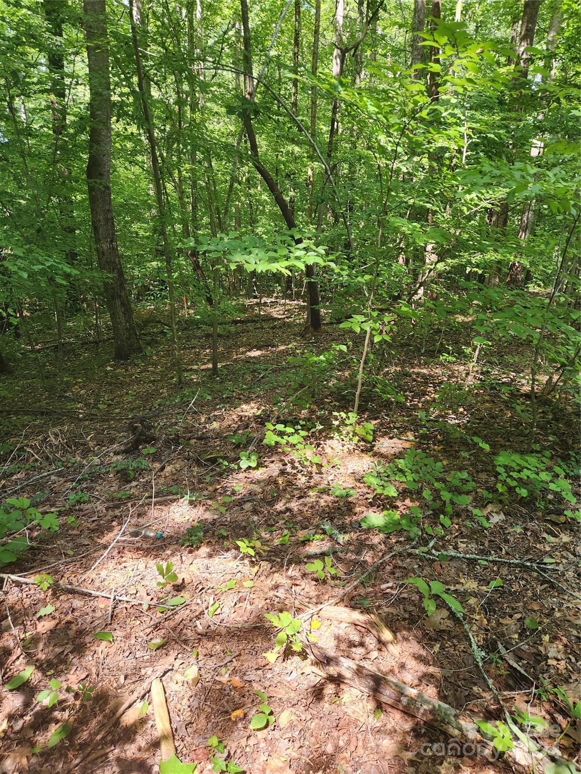 Cross Creek - Land