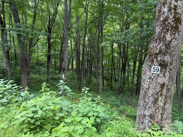 15 Lots Odalu Trail