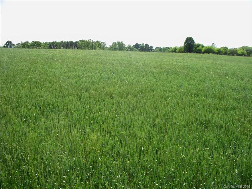 Approx 4 acre tract within minutes of I-40 & Hwy 321. Bring your house plans & builders to this tract. Perfect for home place with elbow room & gardening space. Over 670 ft of road frontage on Henry River Road.