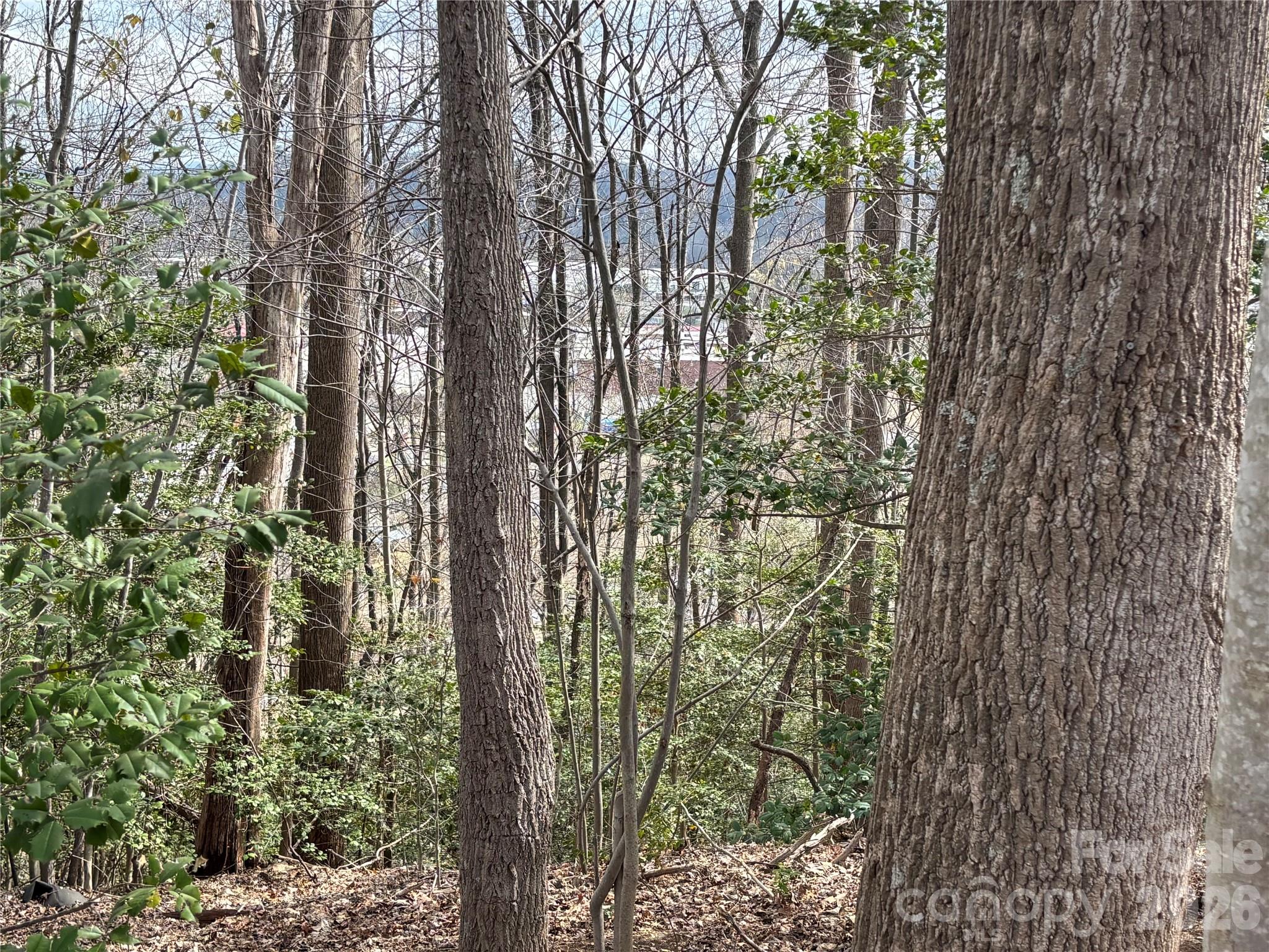 283 Shooting Star Drive