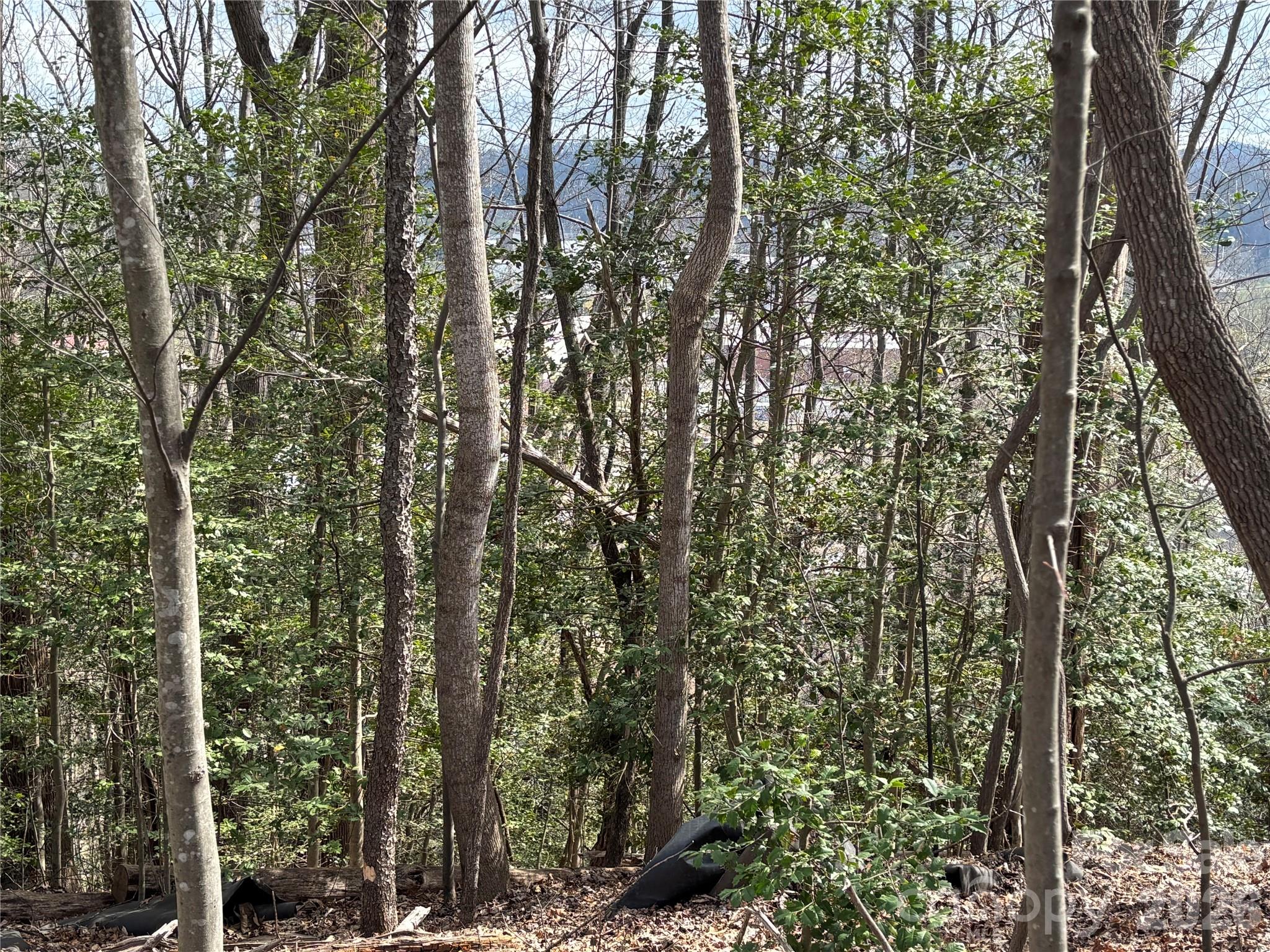 283 Shooting Star Drive