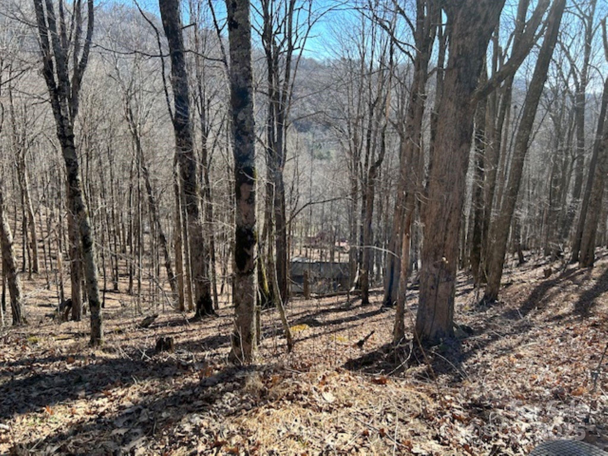 960 Oak Ridge Lane 61-Lot-A