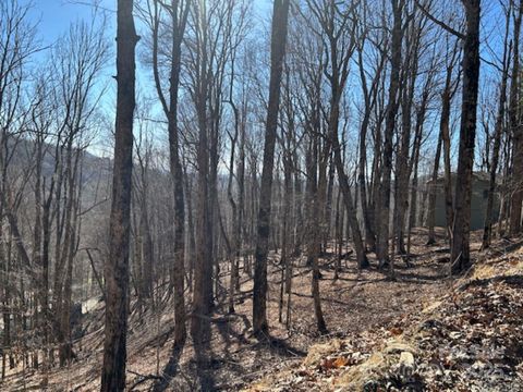 960 Oak Ridge Lane 61-Lot-A Mars Hill NC 28754
