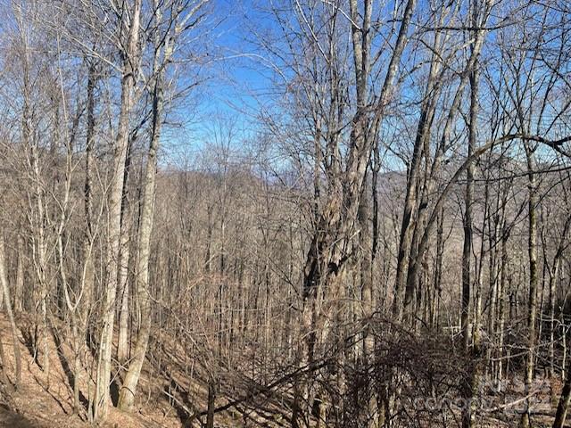 92 Goldenleaf Drive