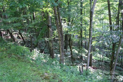 92 Goldenleaf Drive Mars Hill NC 28754