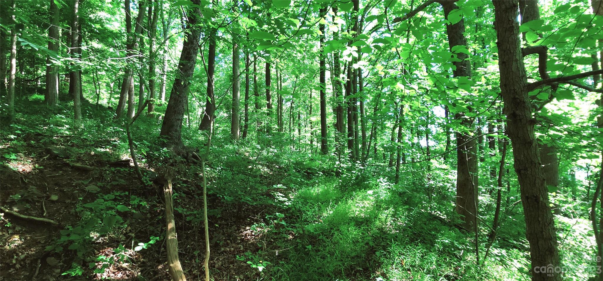 White Oak Mountain - Land