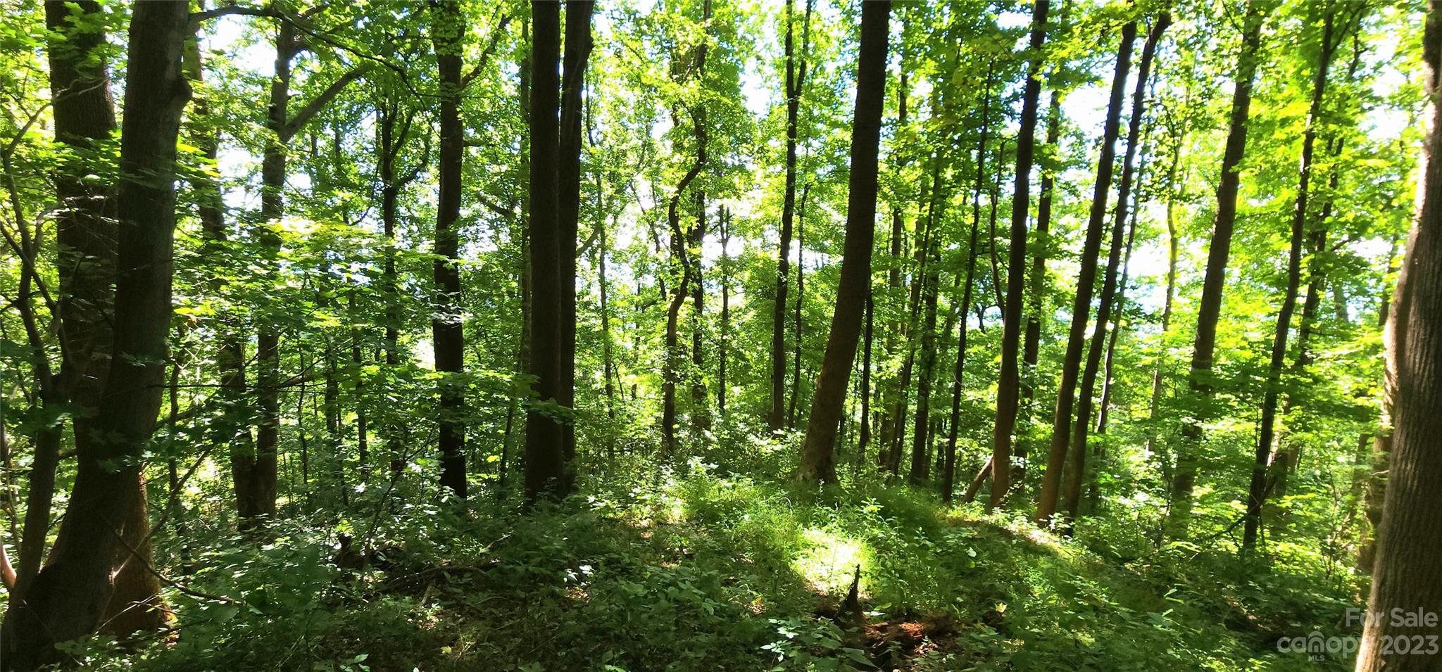 White Oak Mountain - Land