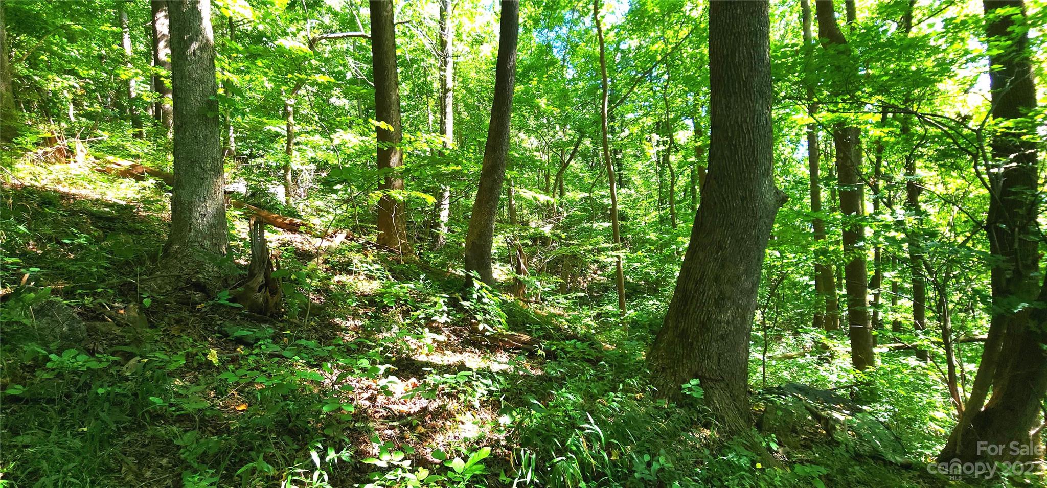 White Oak Mountain - Land