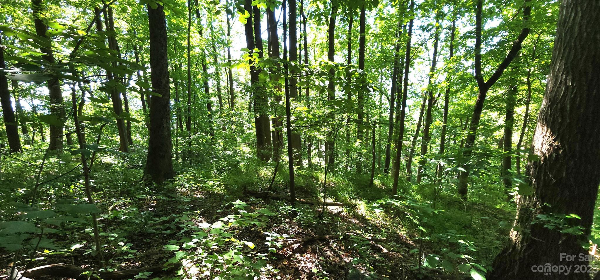 White Oak Mountain - Land