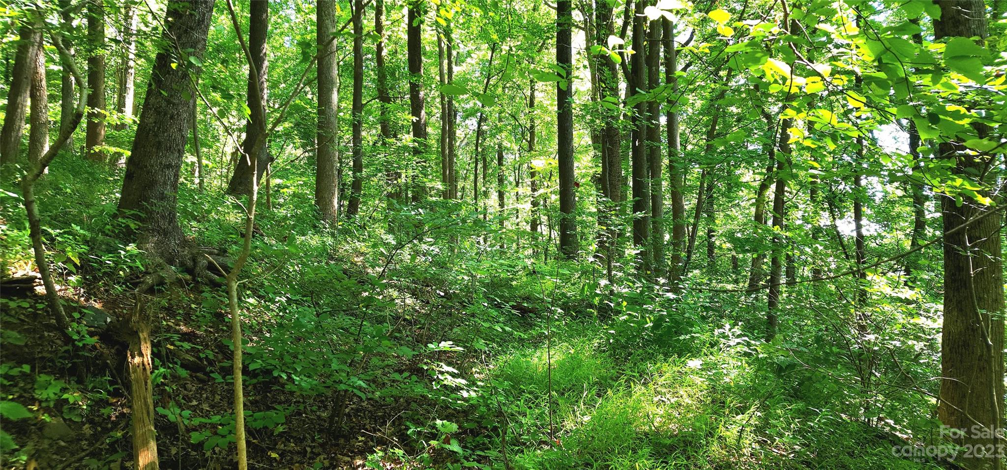 White Oak Mountain - Land