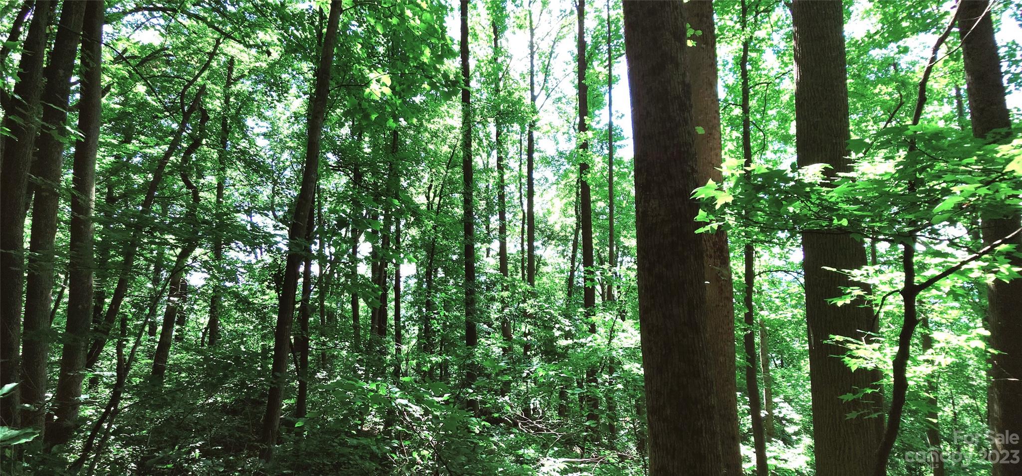 White Oak Mountain - Land