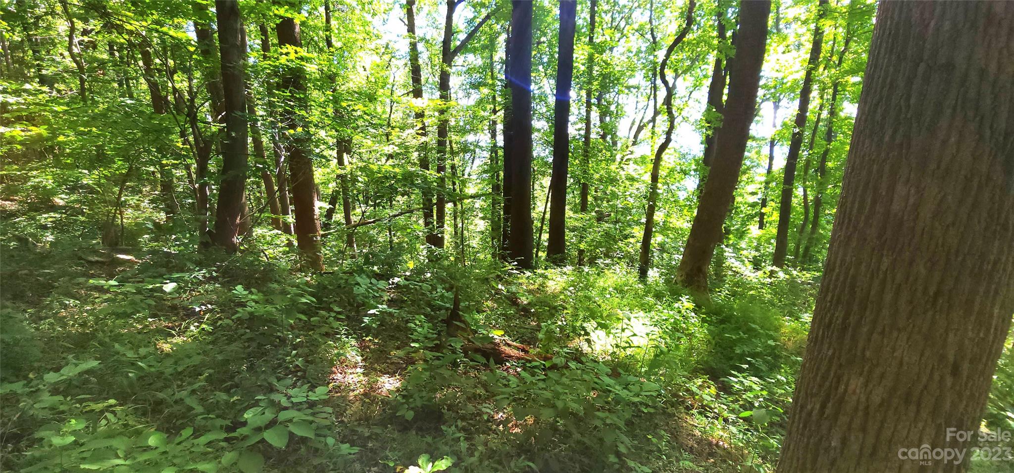 White Oak Mountain - Land