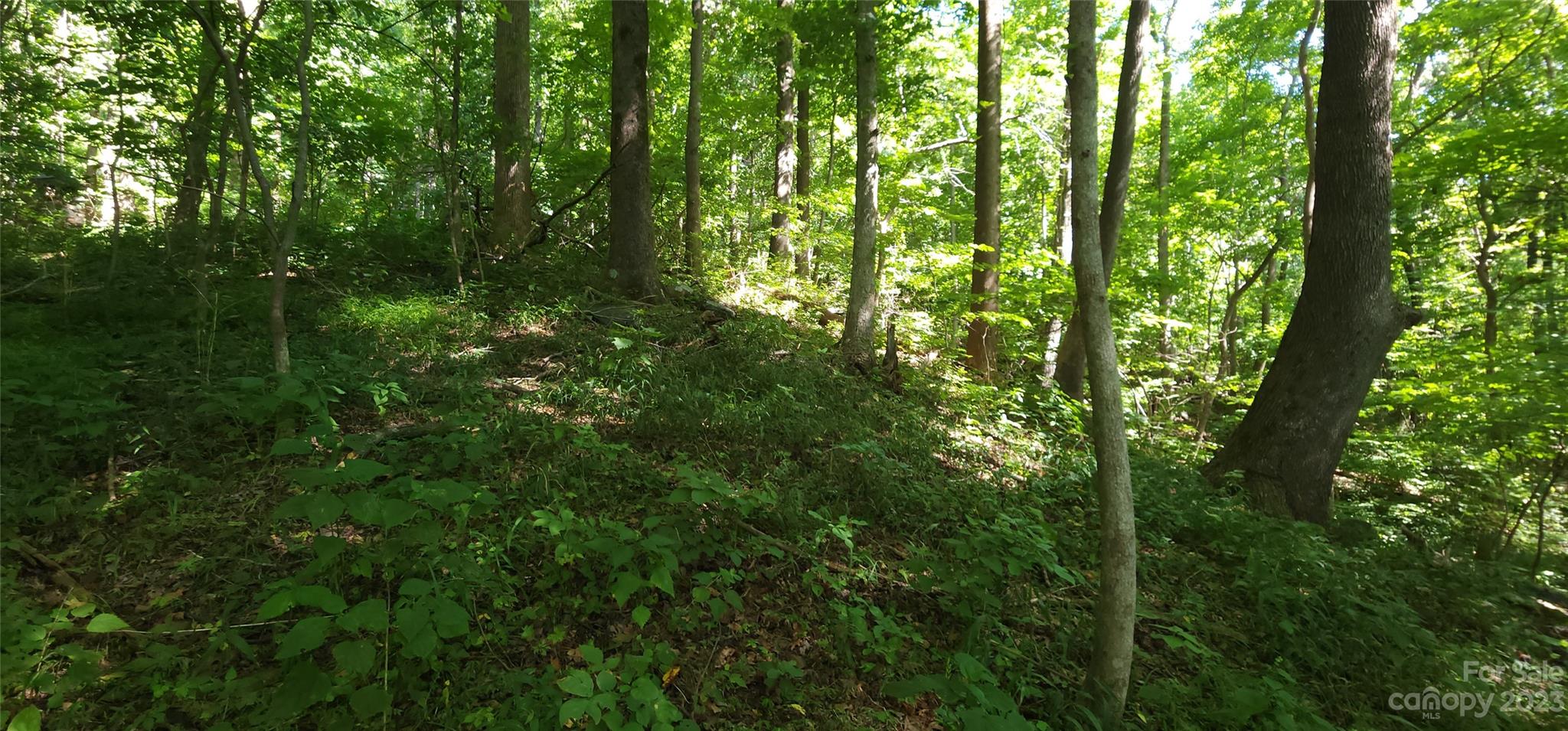 White Oak Mountain - Land