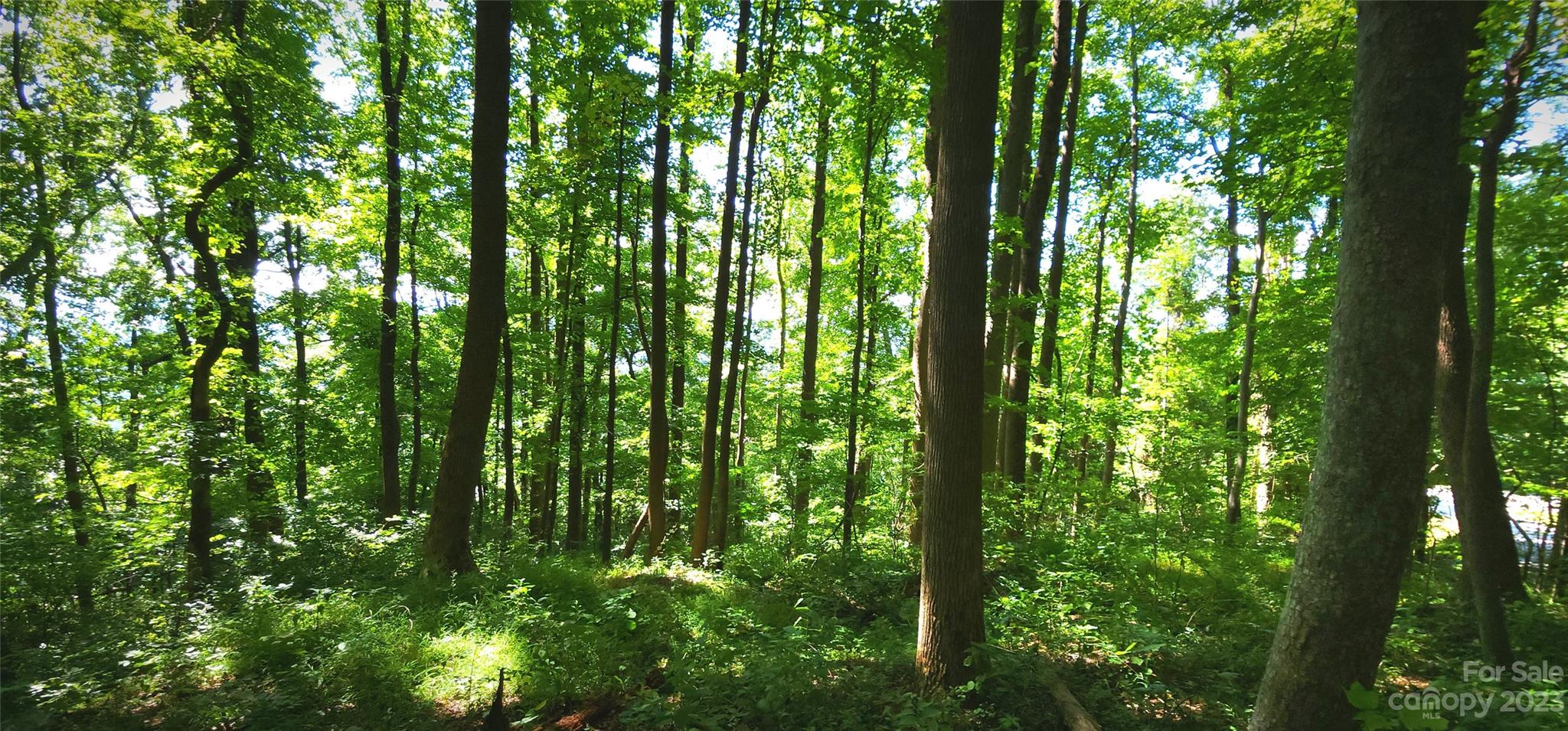 White Oak Mountain - Land