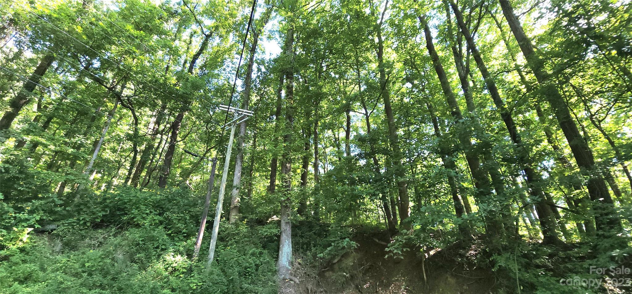 White Oak Mountain - Land