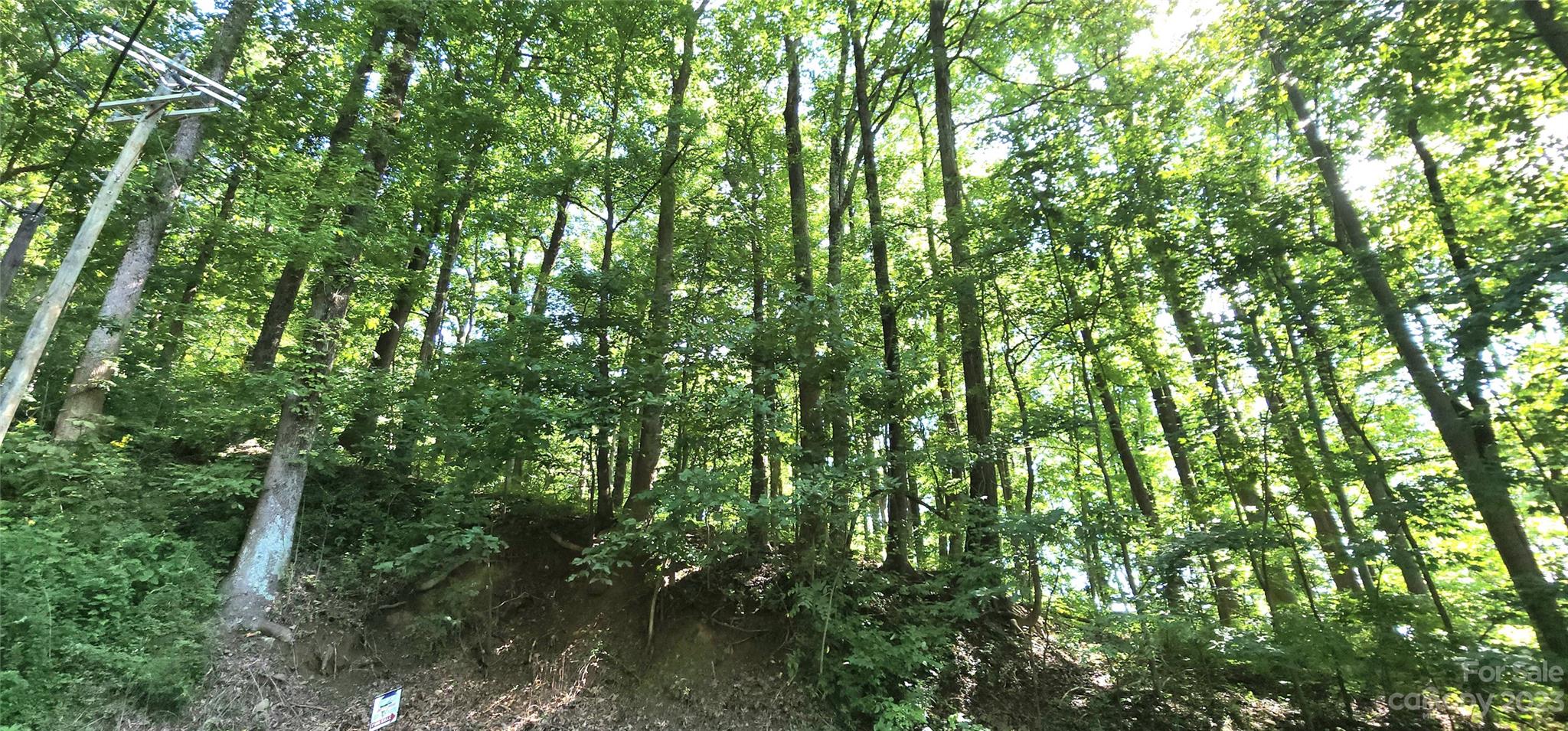 White Oak Mountain - Land