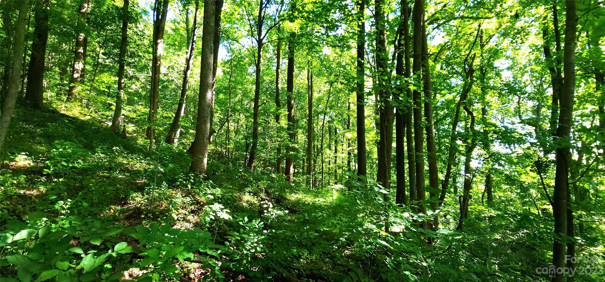 White Oak Mountain - Land