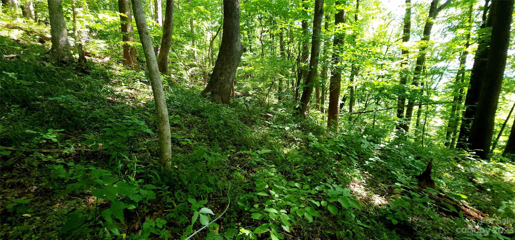 White Oak Mountain - Land