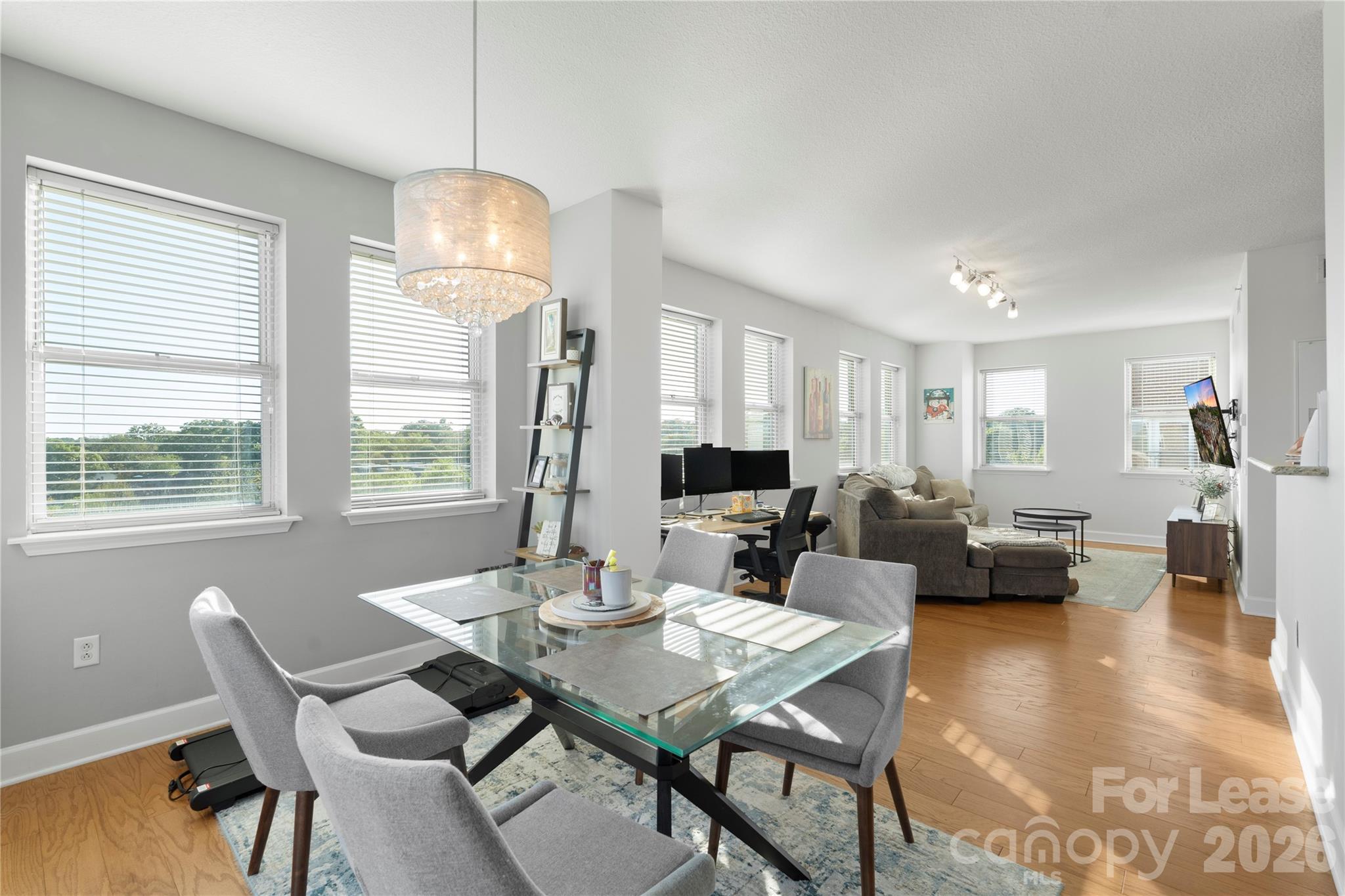 Dilworth - Residential Lease