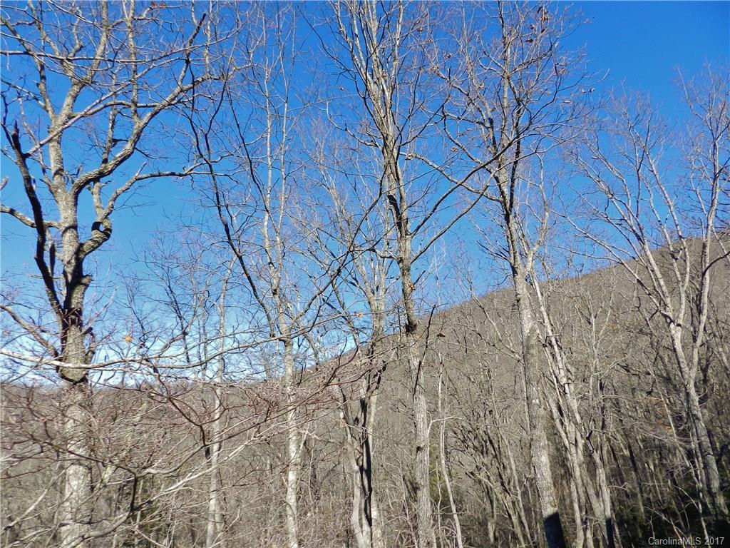 Cedarwood Estates - Residential