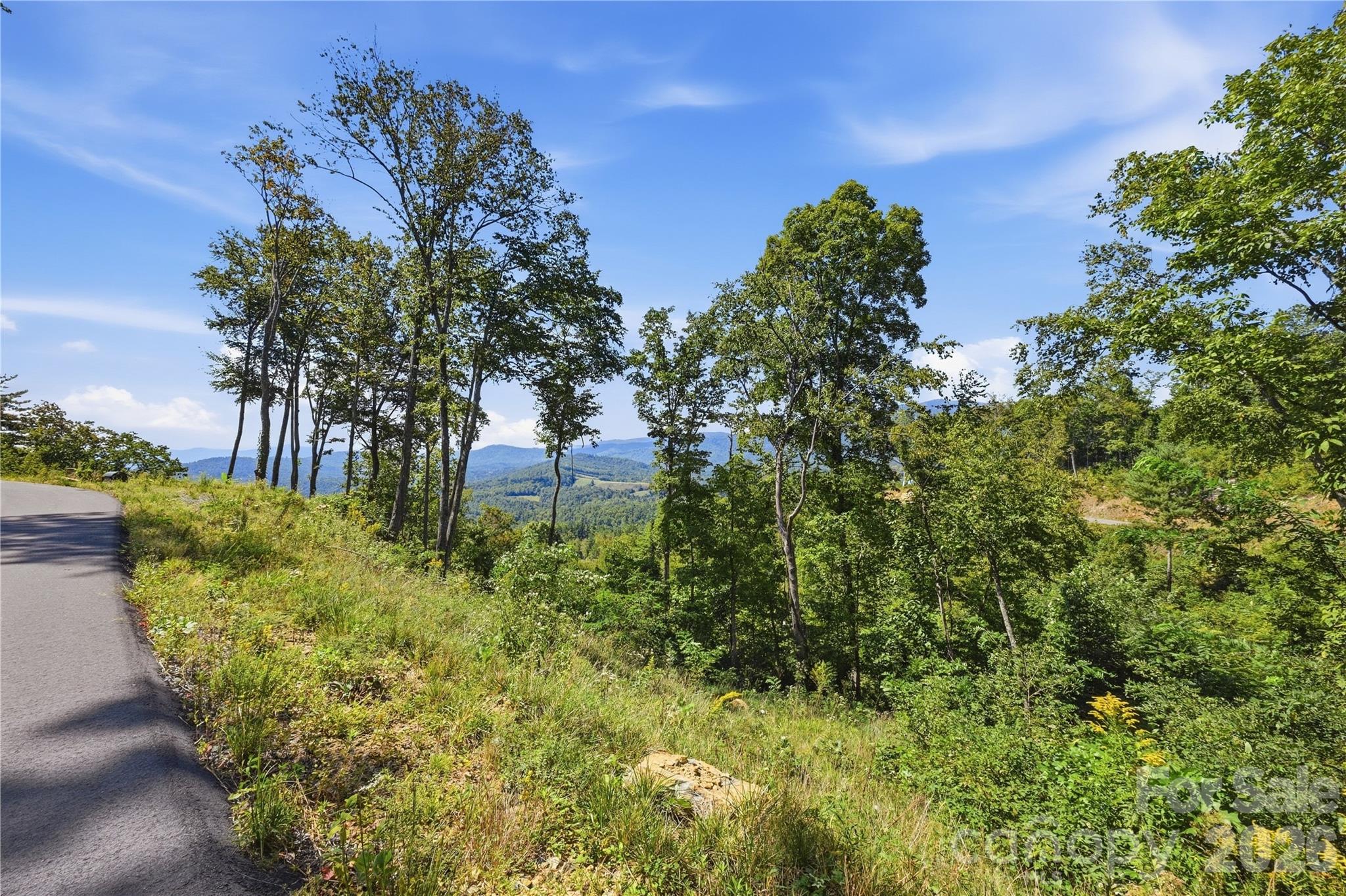 Lot 39 Mt. Mitchell Overlook