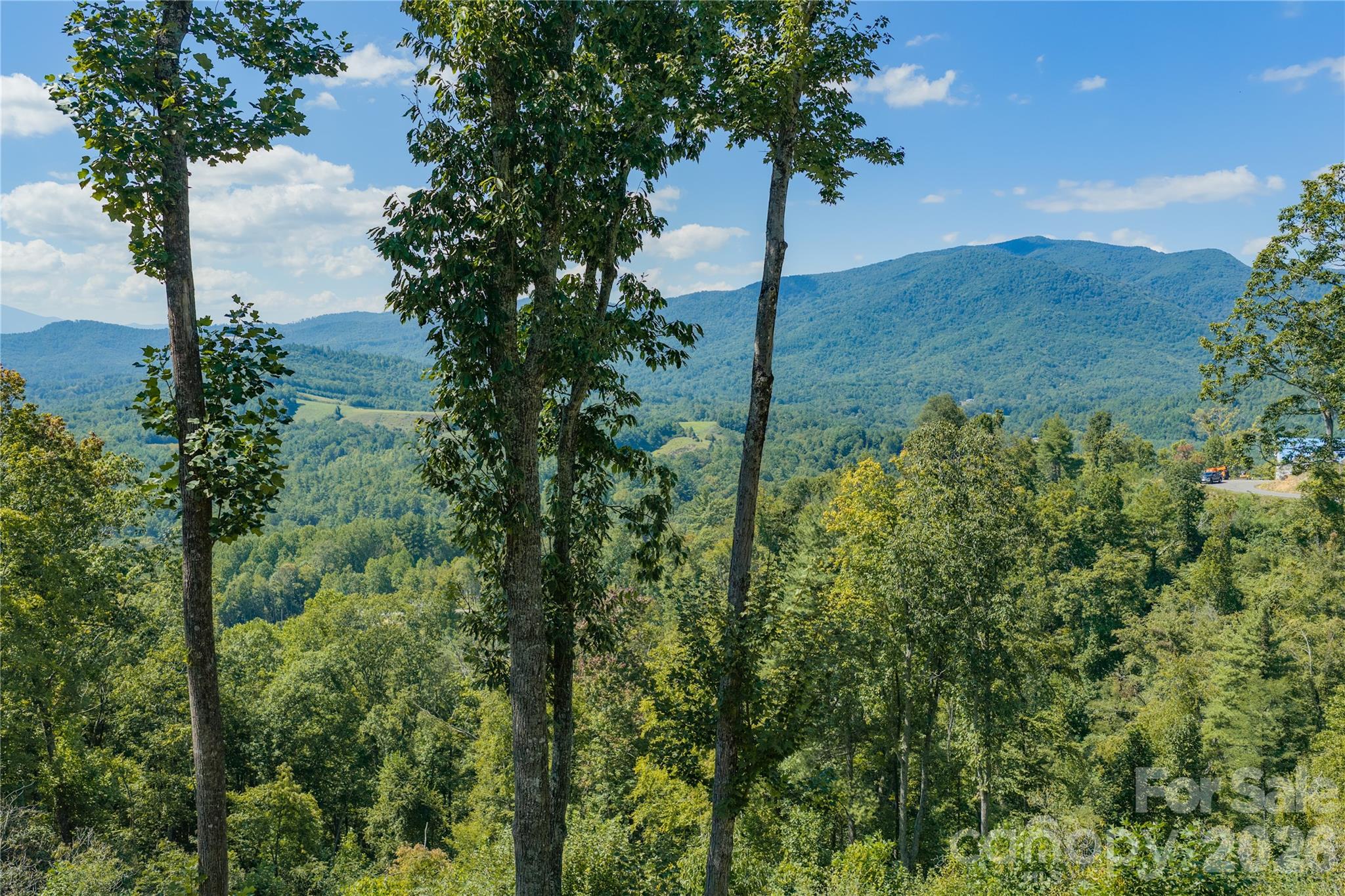 Lot 39 Mt. Mitchell Overlook