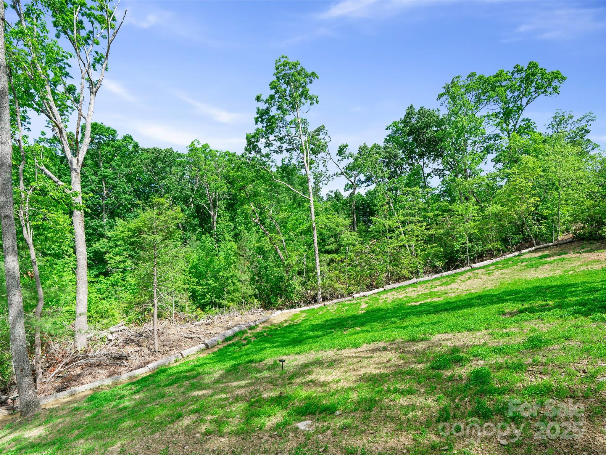 Carriage Park - Land