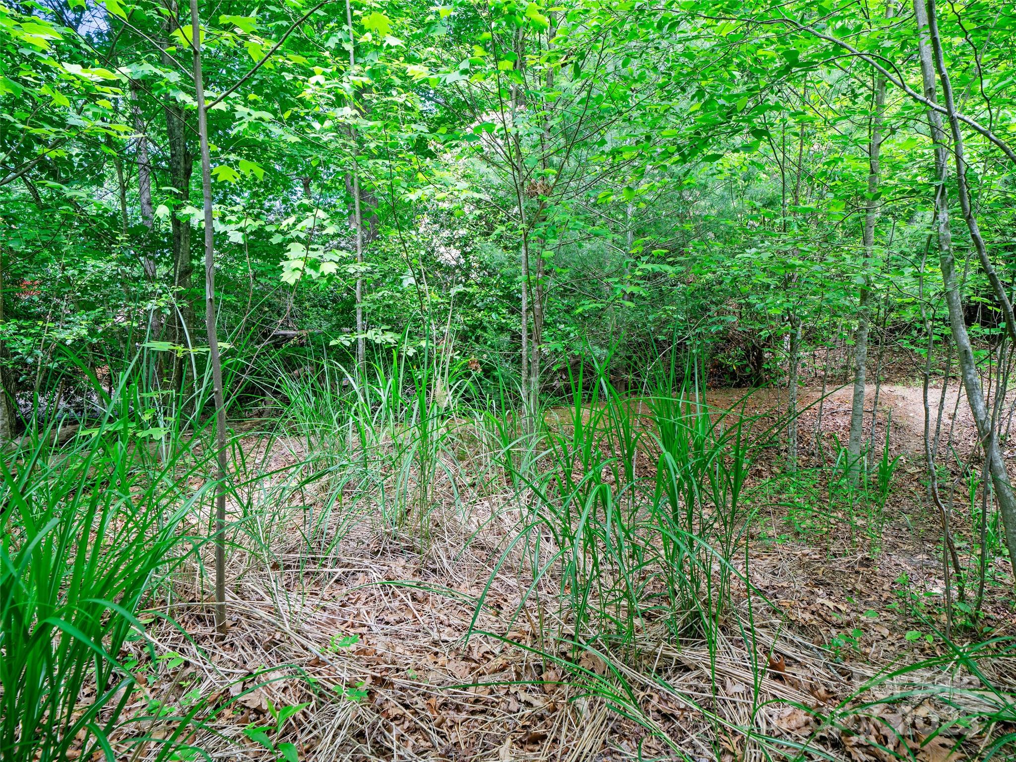 Carriage Park - Land