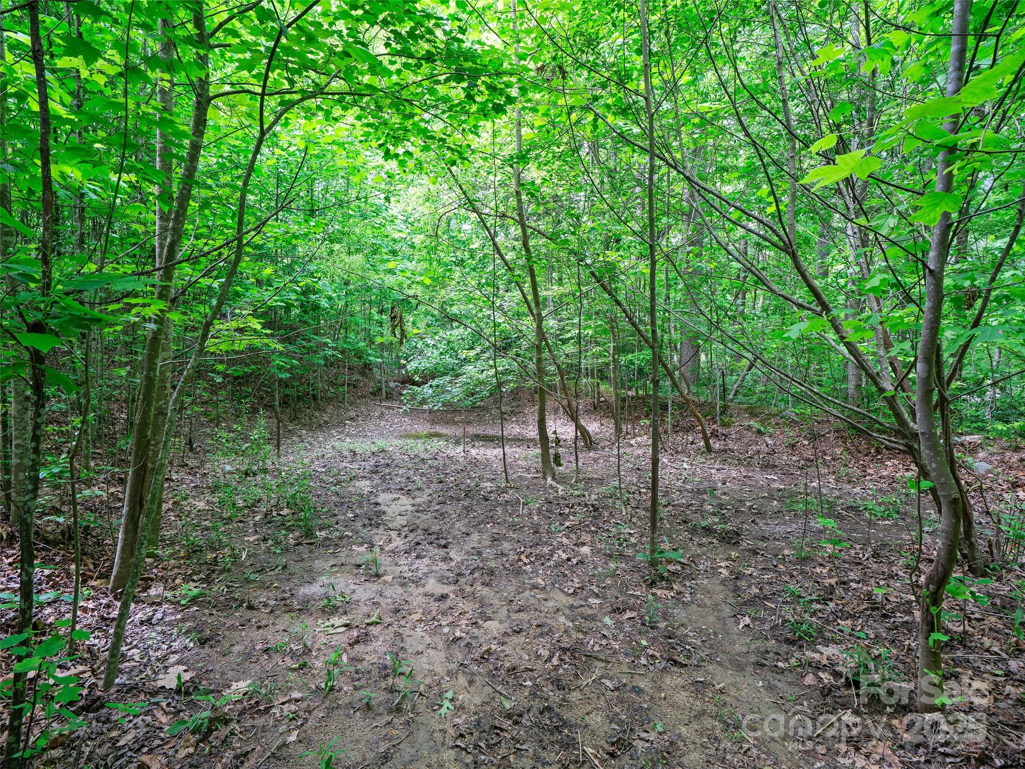 Carriage Park - Land