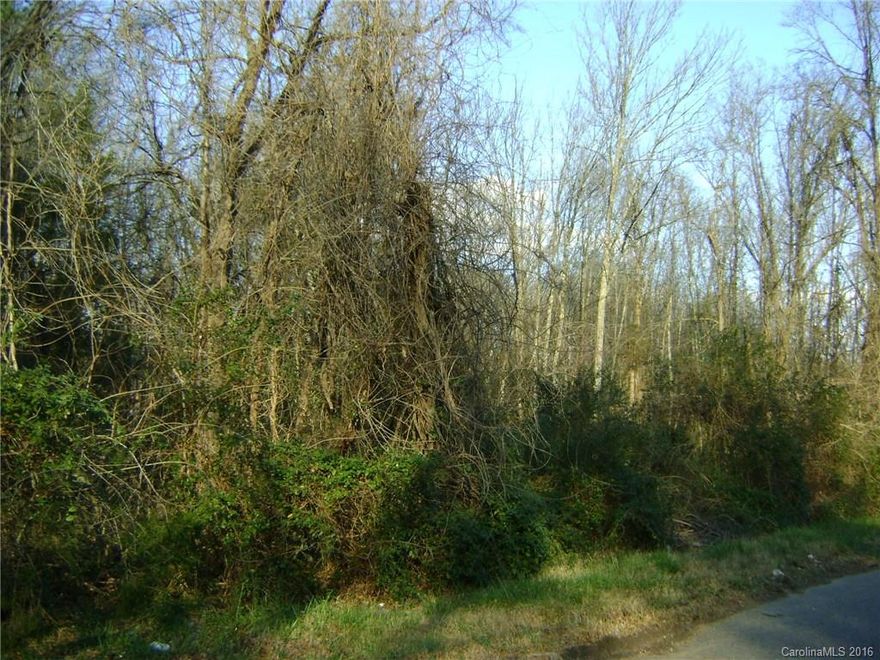 Commercial site near heavily traveled commercial corridor on the south side of Rock Hill. Wooded. Good access to !-77.