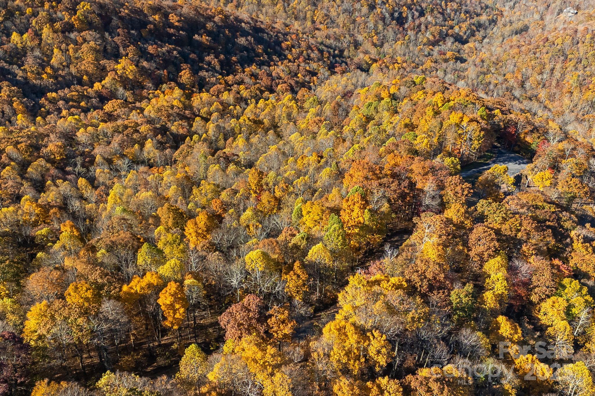 Mountain Brook Estates - Land