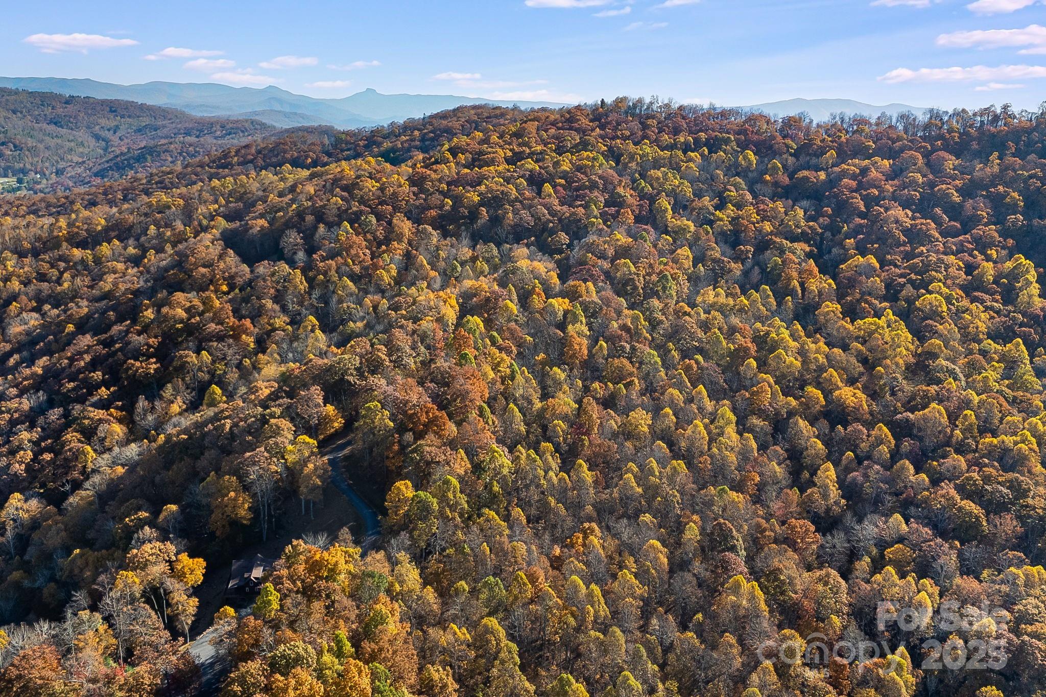 Mountain Brook Estates - Land