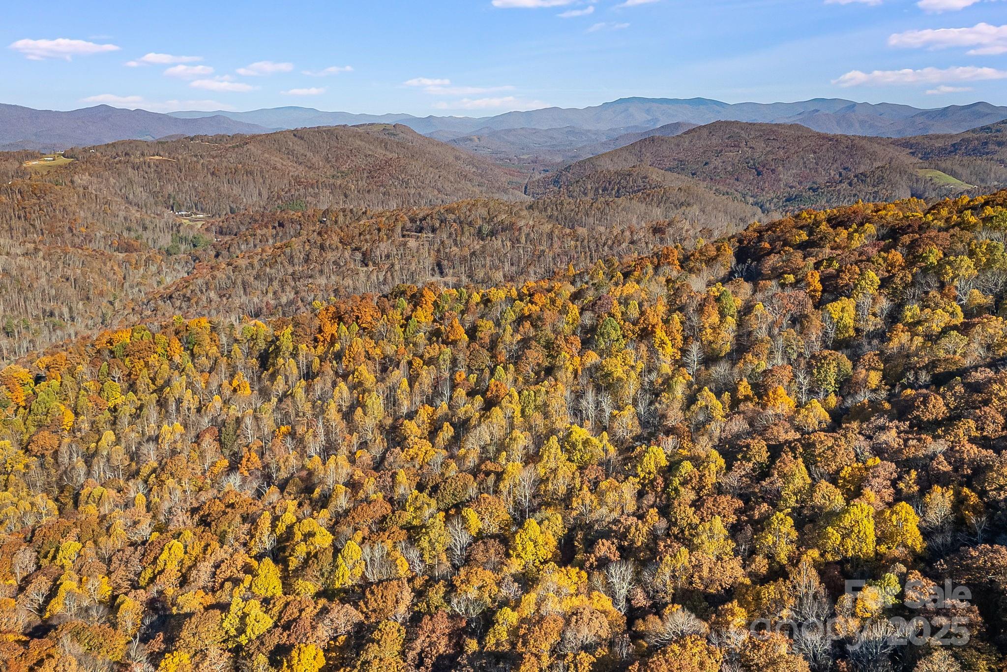 Mountain Brook Estates - Land