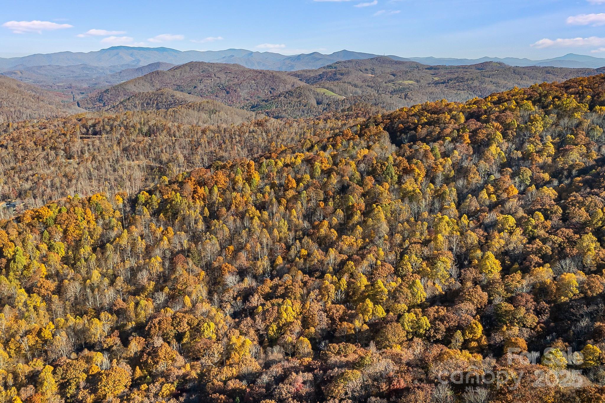 Mountain Brook Estates - Land