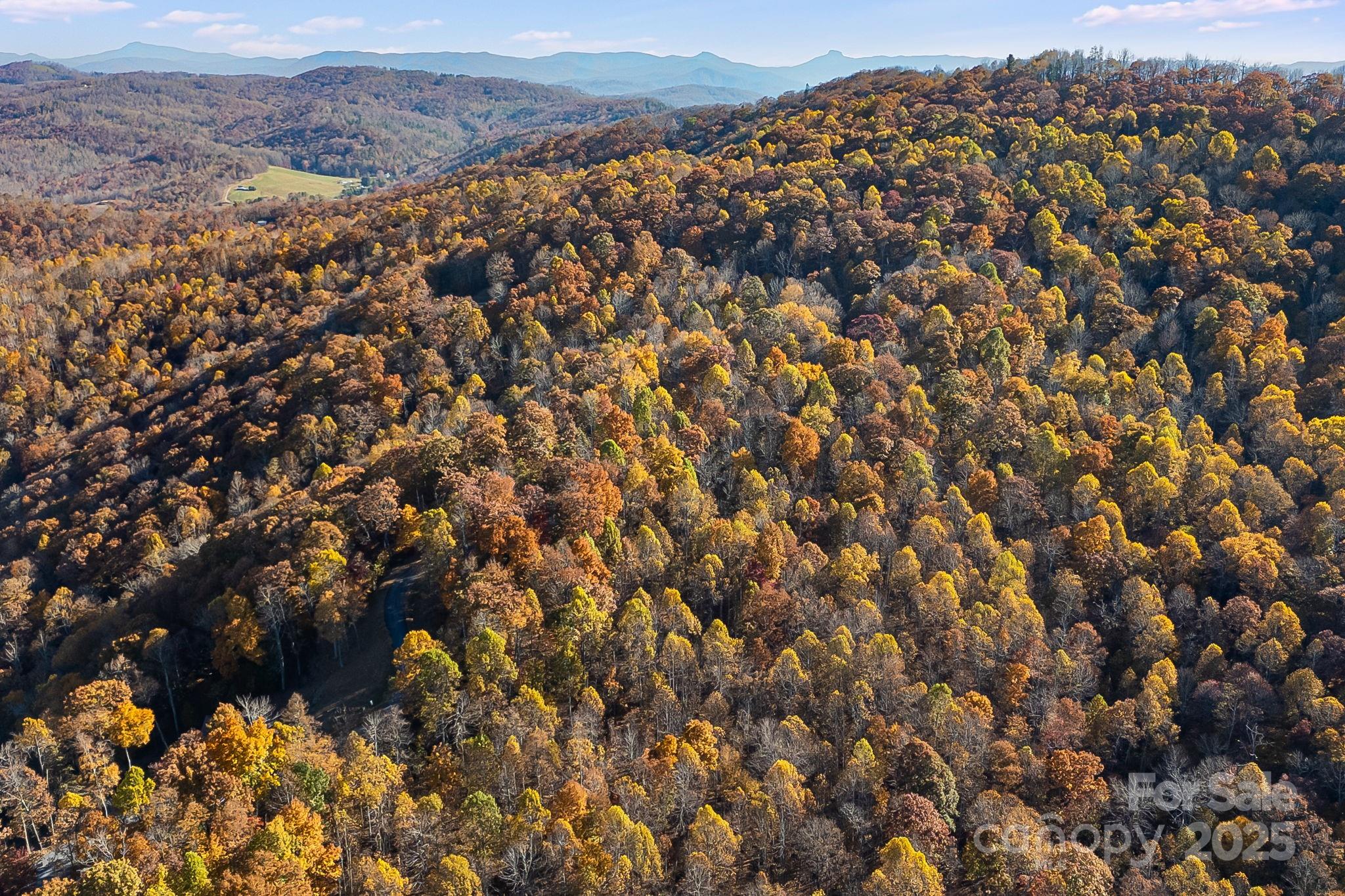 Mountain Brook Estates - Land
