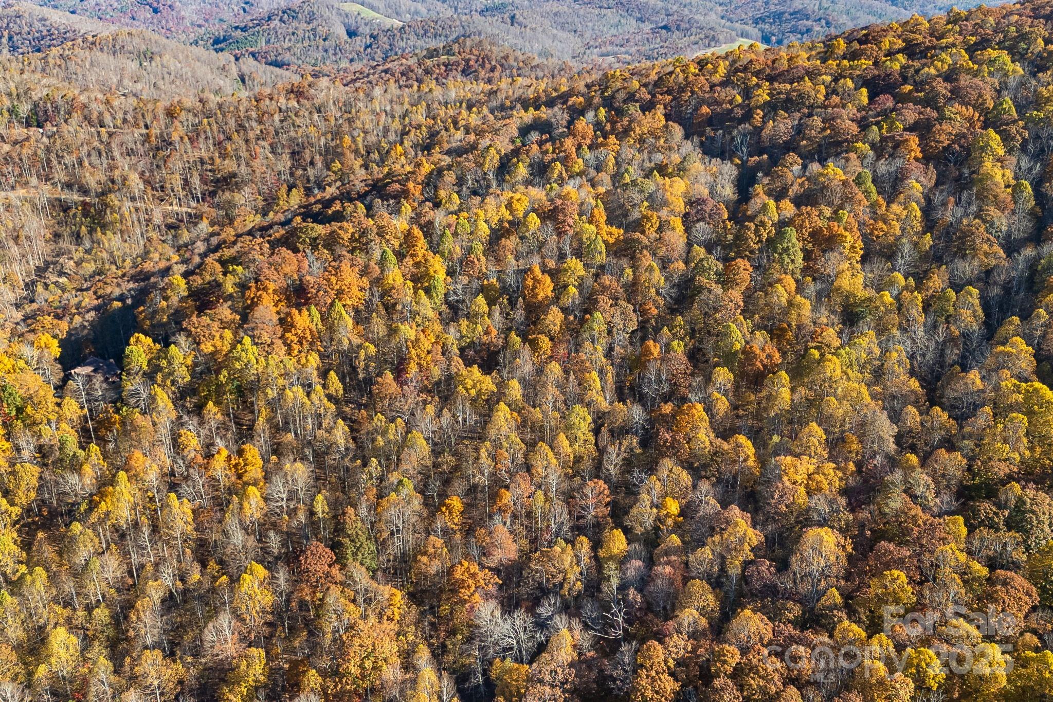 Mountain Brook Estates - Land