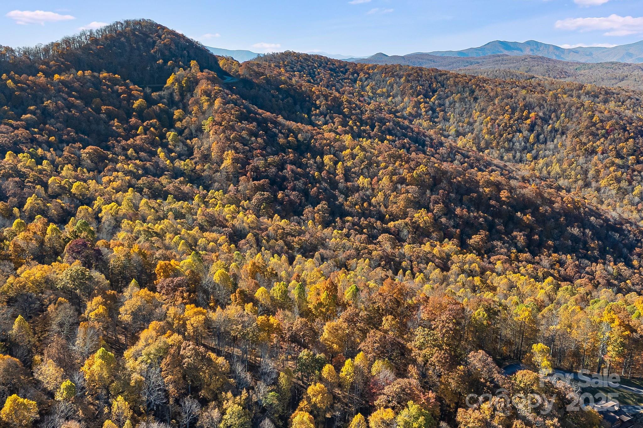 Mountain Brook Estates - Land