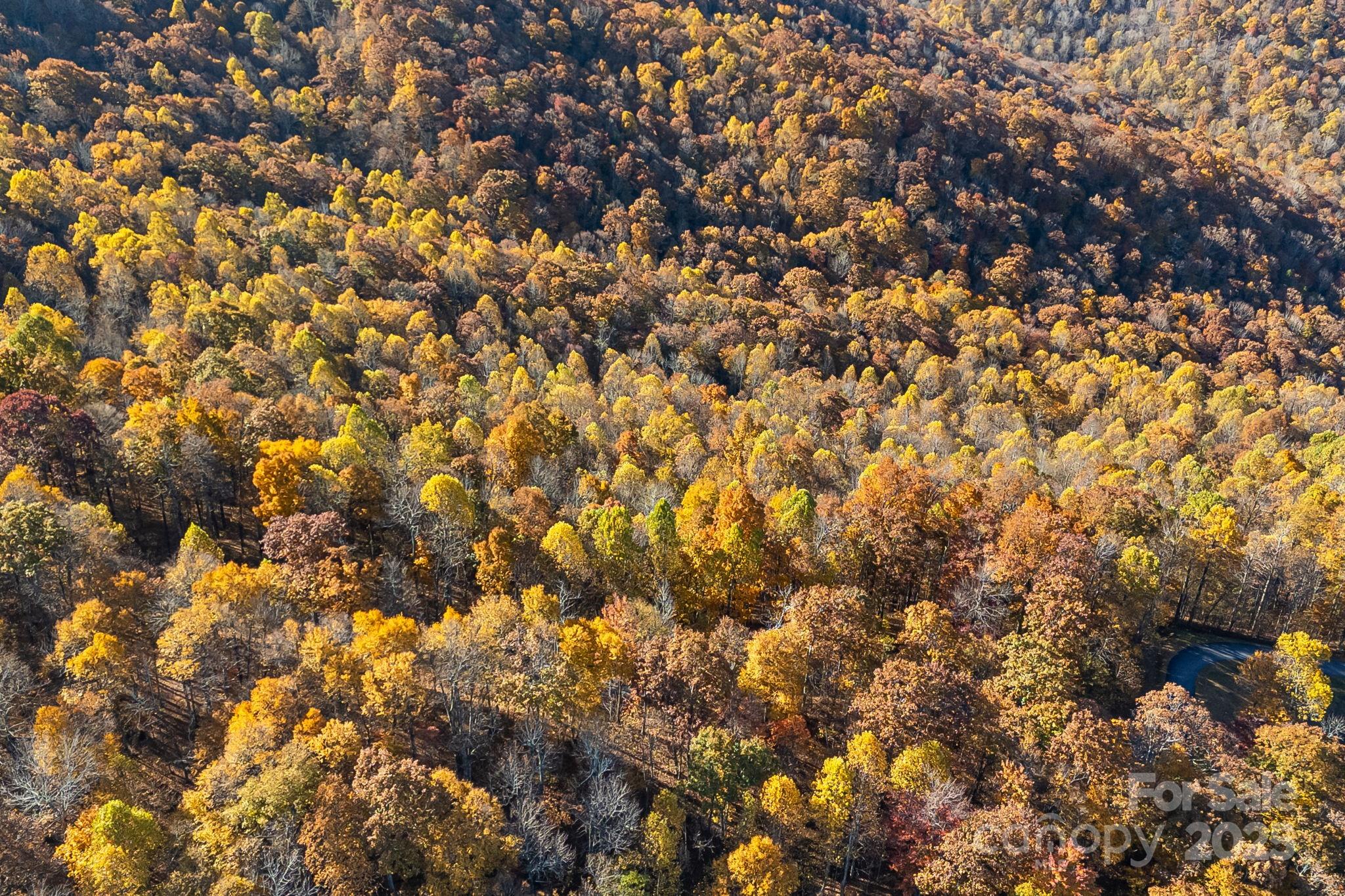 Mountain Brook Estates - Land