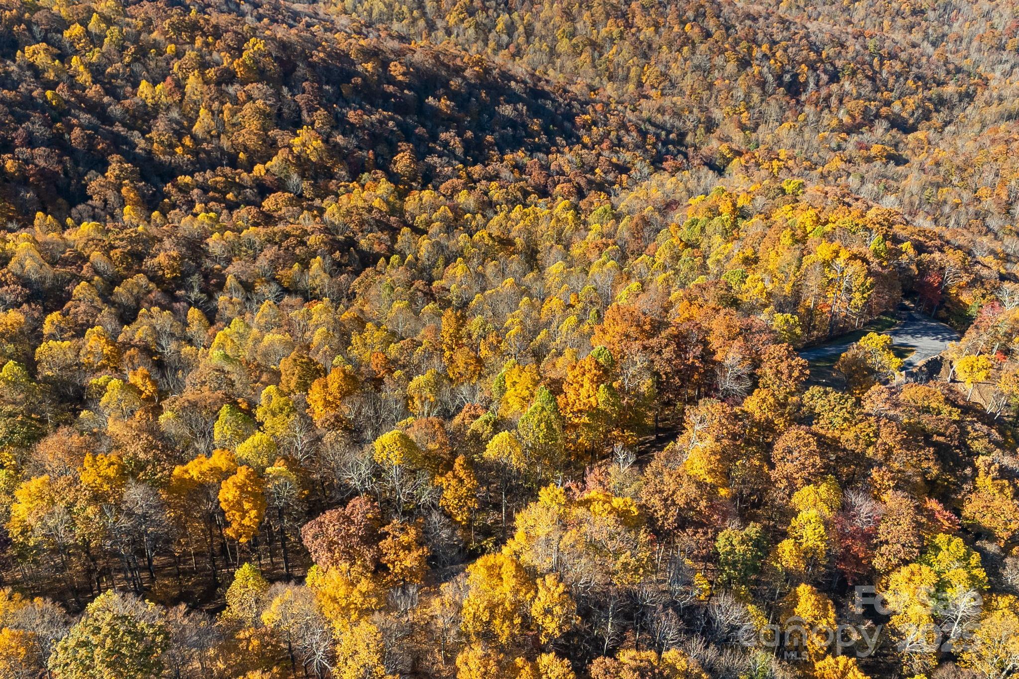 Mountain Brook Estates - Land