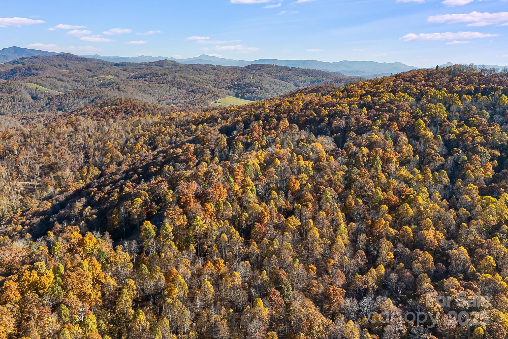 Mountain Brook Estates - Land