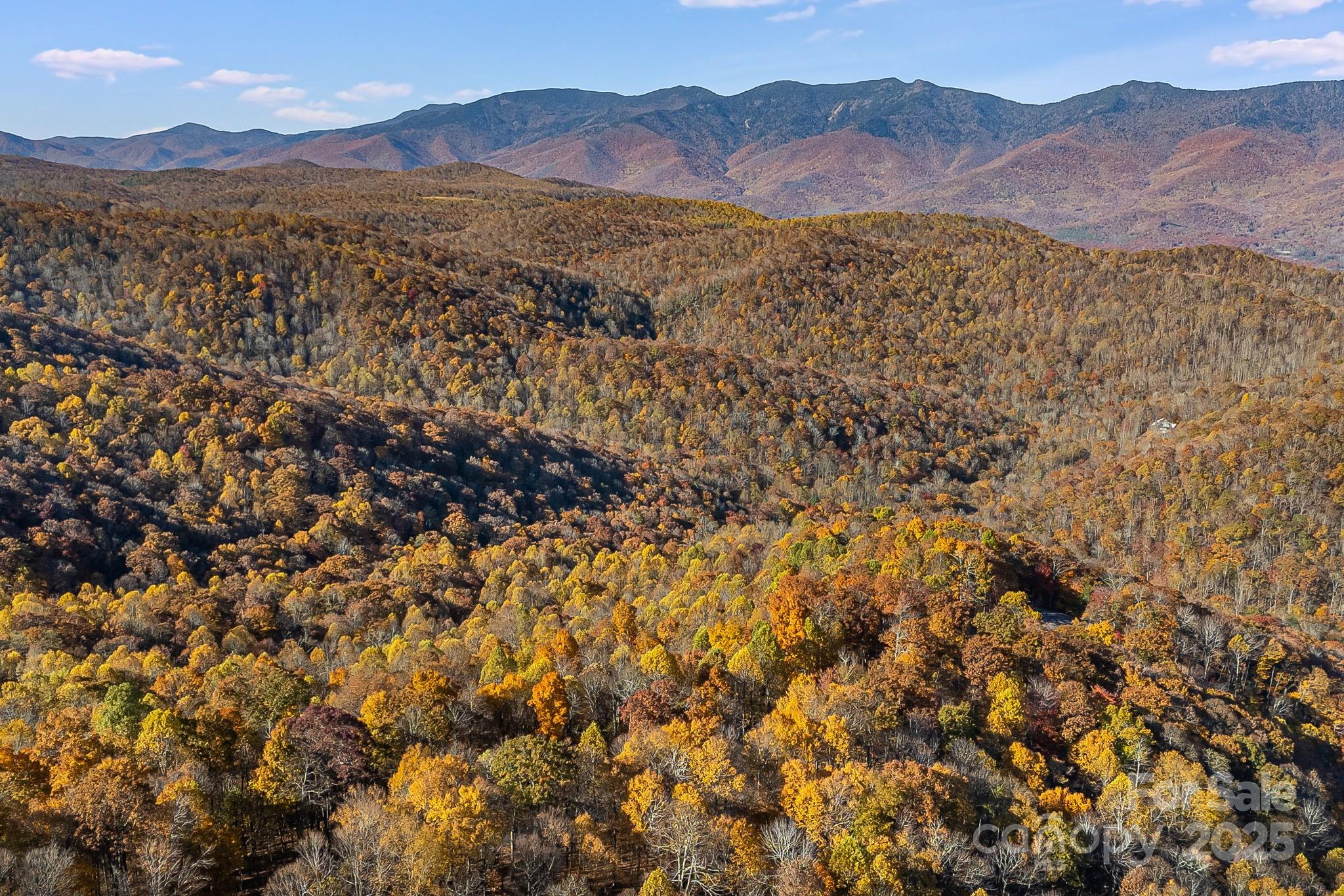 Mountain Brook Estates - Land
