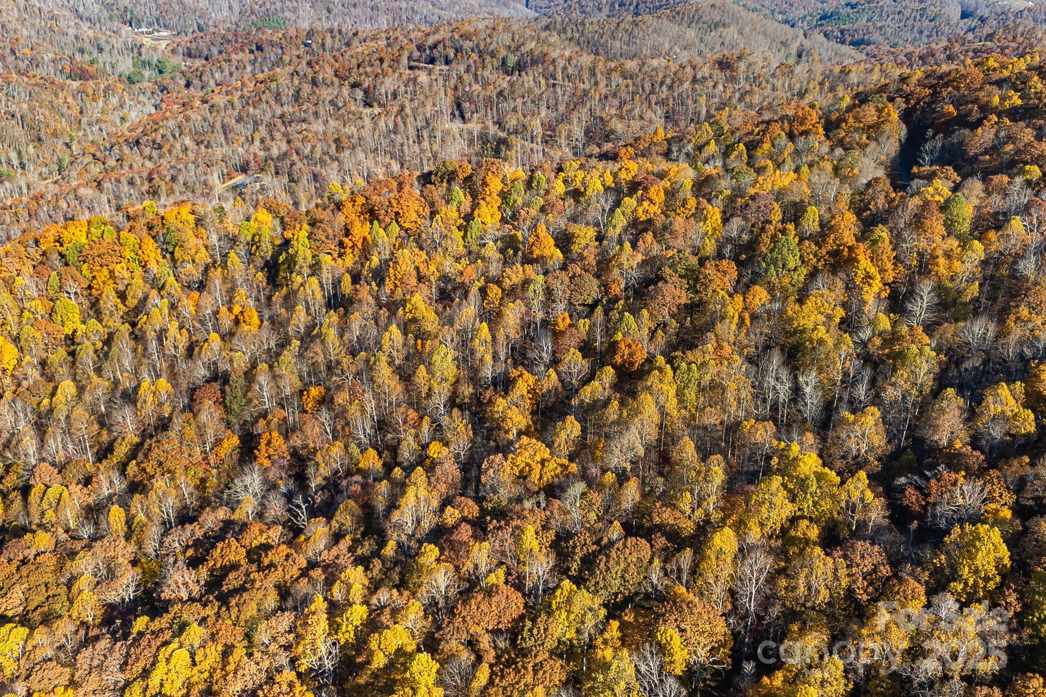 Mountain Brook Estates - Land