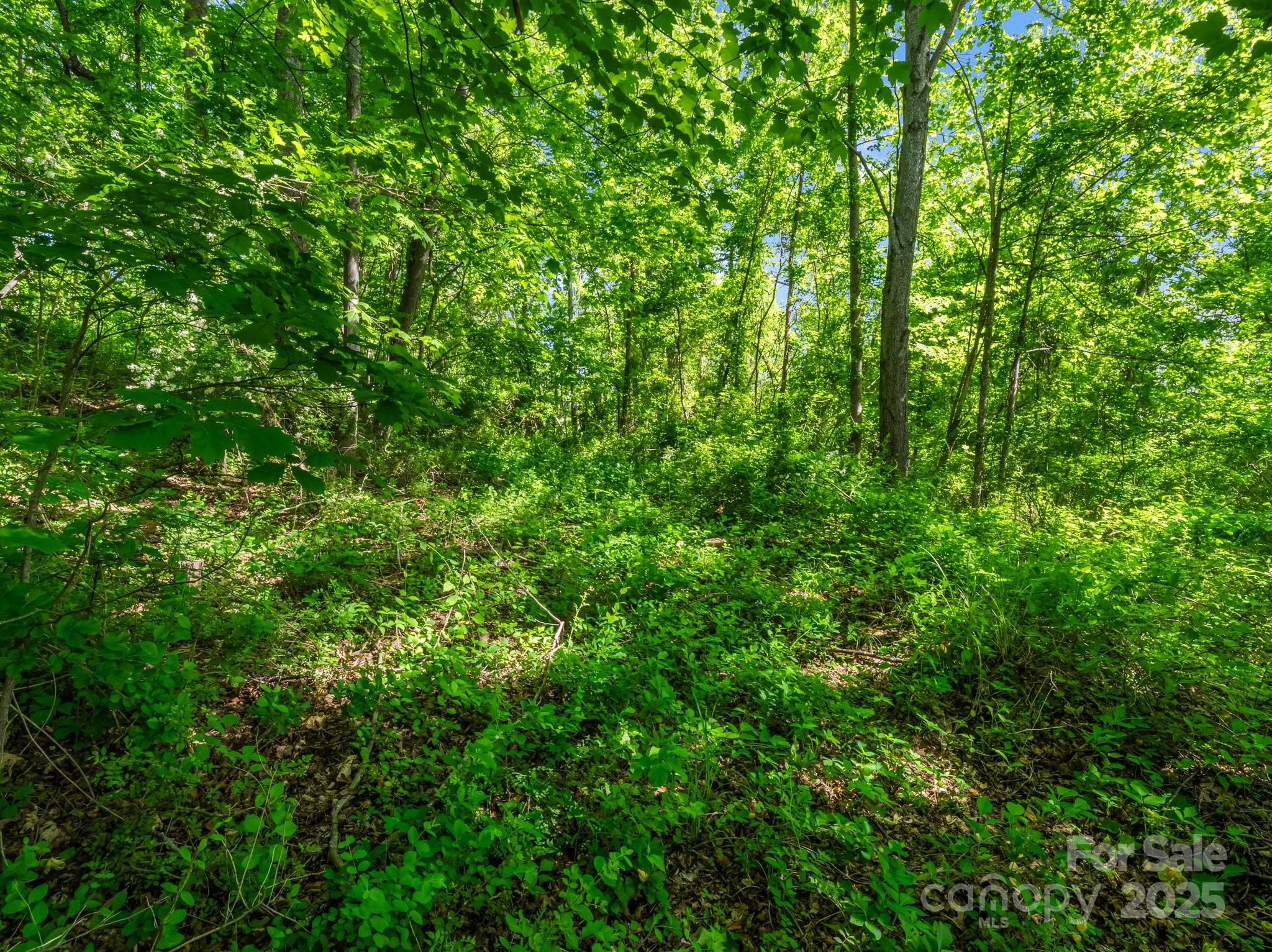 Greater Druid Hills - Land