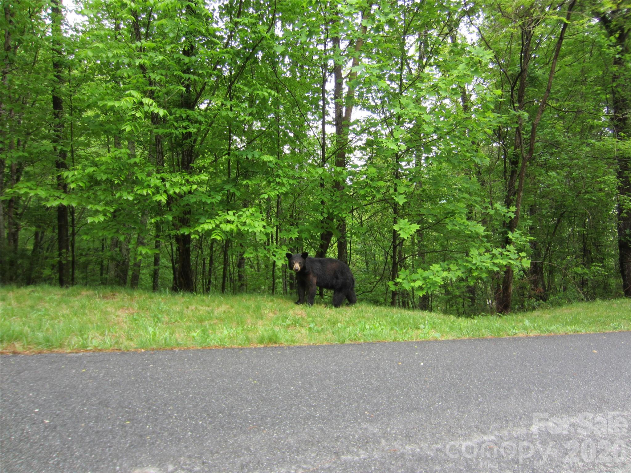 64 Longspur Lane