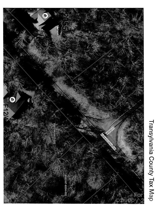 Connestee Falls - Land