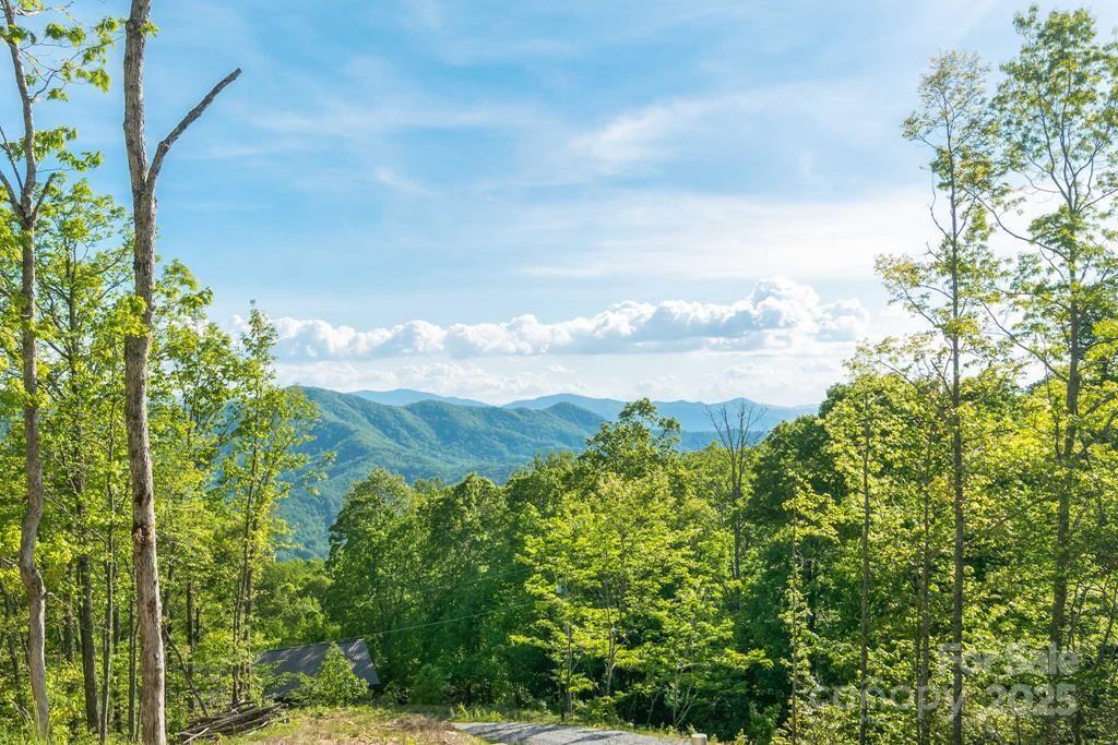 Alarka Creek Properties - Residential