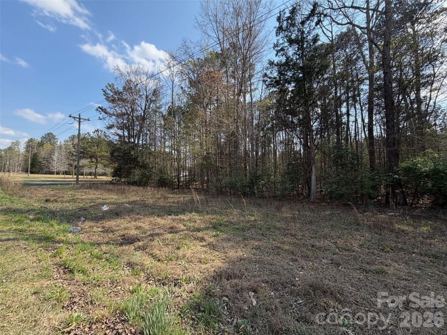 This is a wooded tract offering a natural setting and a blank slate for endless possibilities. Let your vision take shape and bring your ideas to life on this untouched land.