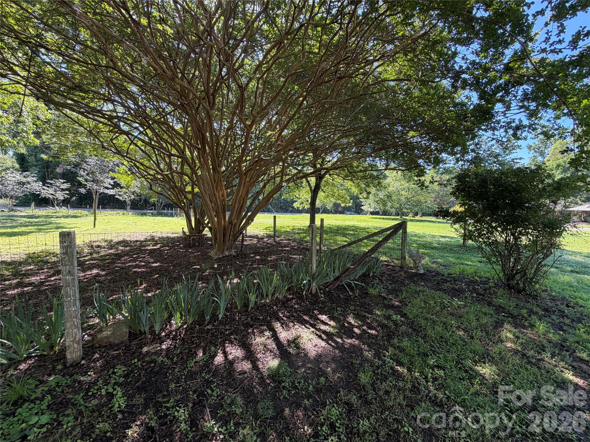 3538 Back Creek Church Road